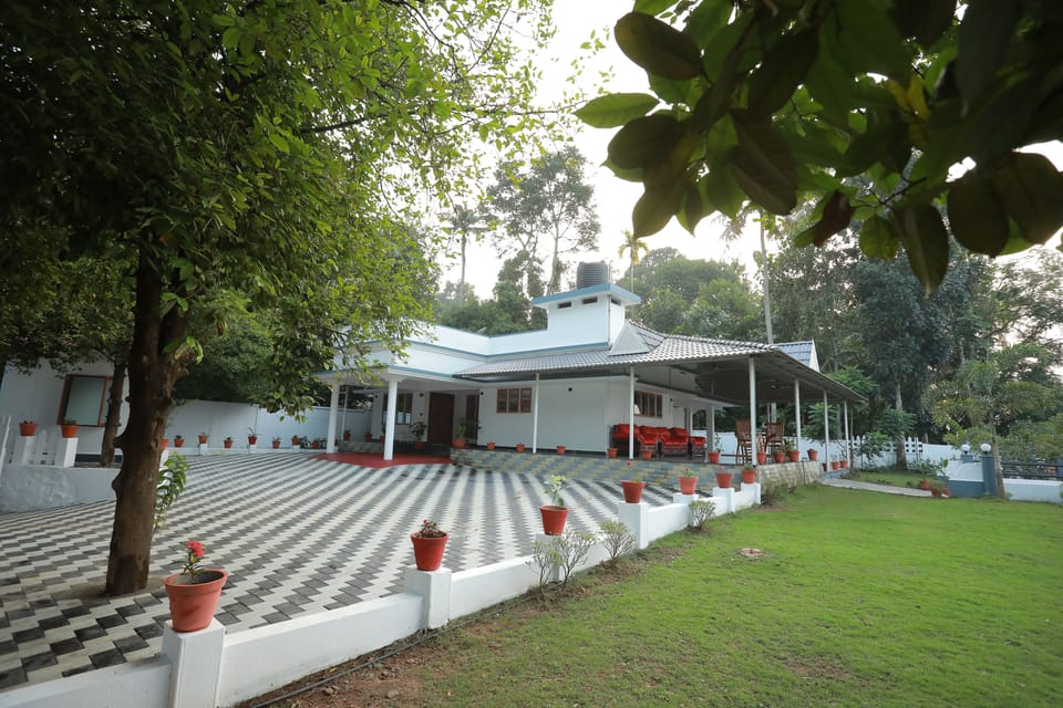 side view