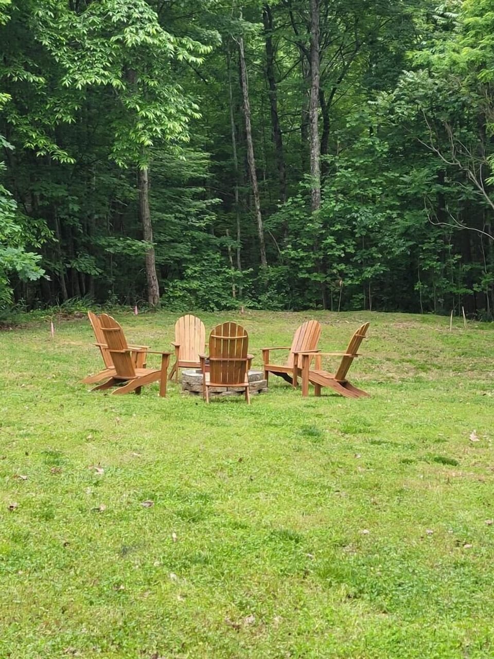 Fire pit in the backyard - great memories making s'mores!