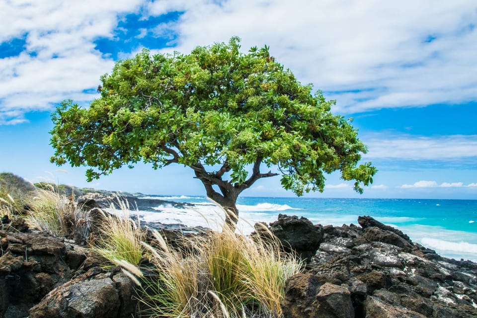 Big Island Beaches!