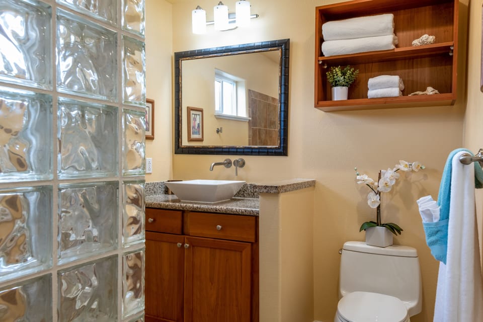 Large seperate guest bathroom with walk-in shower.
