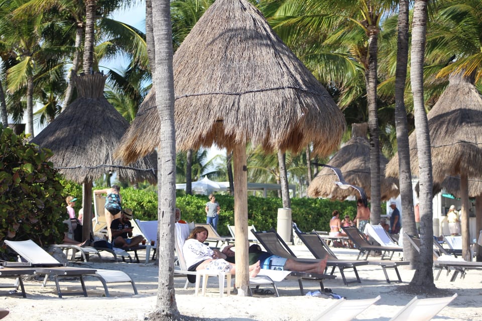 Beach chairs & canopies at one of many pools at the Riviera Maya Vidanta resort