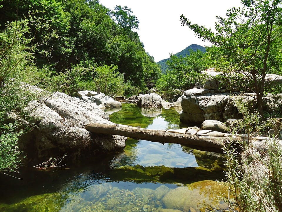 Body Of Water, Water Resources, Natural Landscape, Riparian Zone, Nature Reserve, Watercourse, Nature, Vegetation, Stream, Water