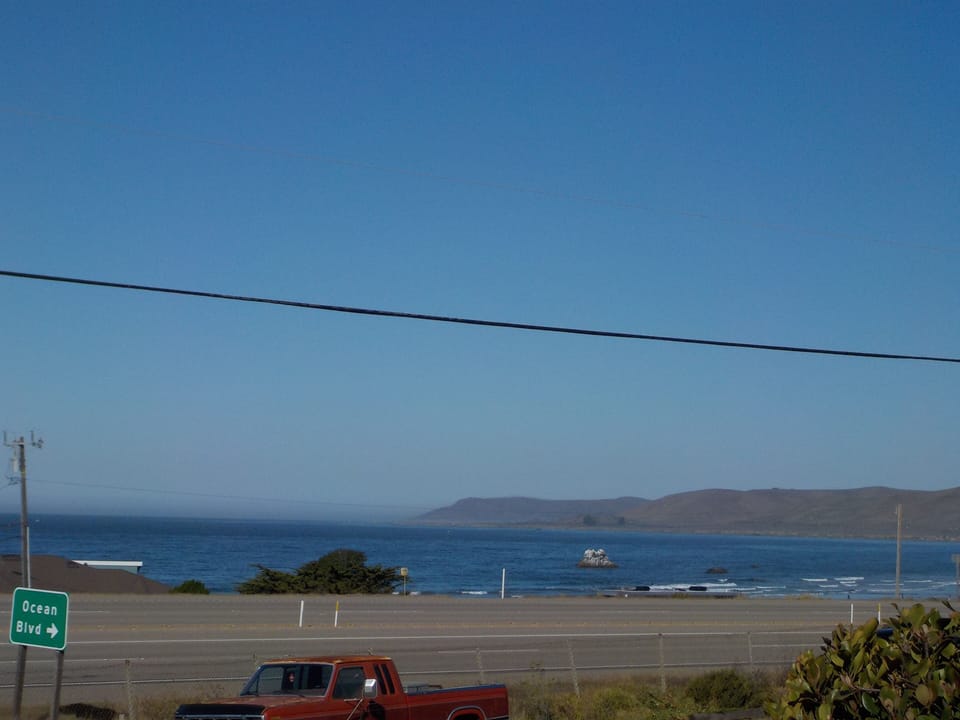 Maybe see a dolphin catching a wave. 