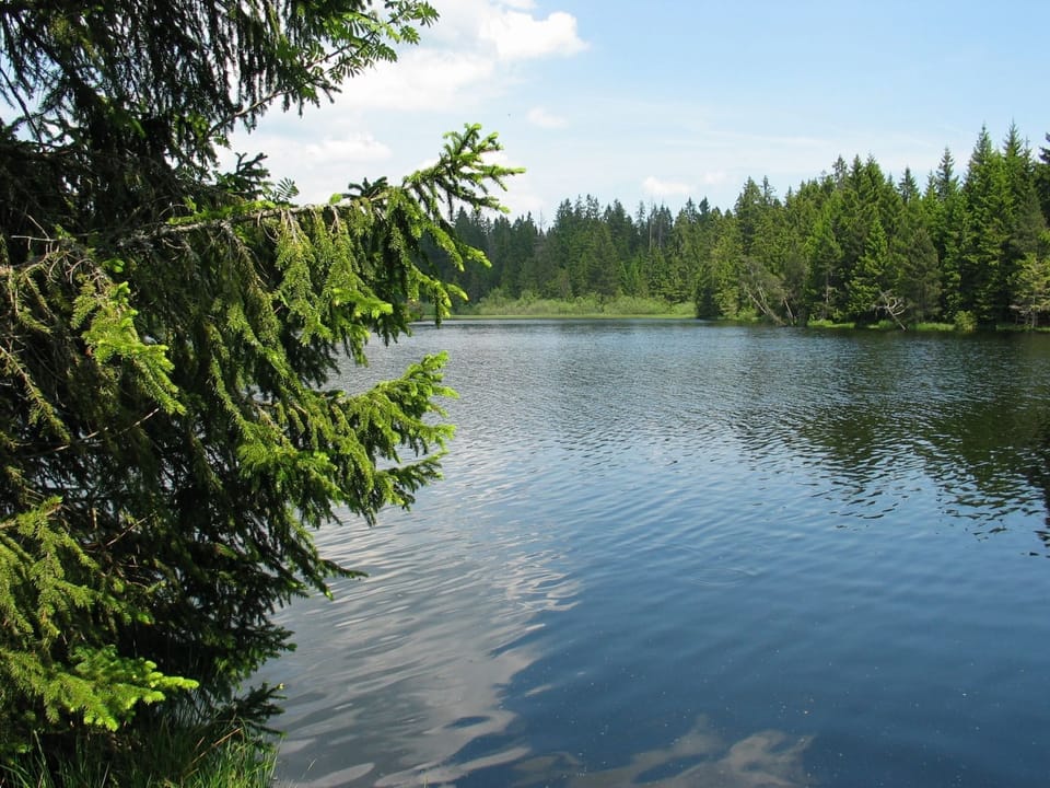 Place