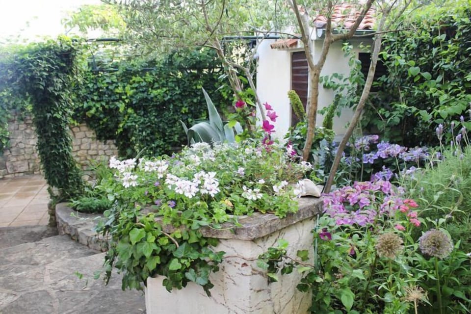 Garden [summer]