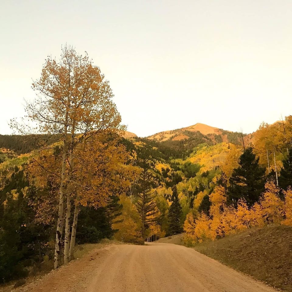 Early fall views on the road just outside the cabin.