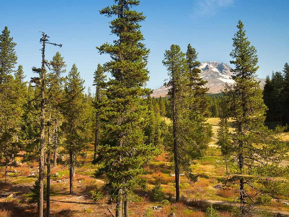 Photo from front porch of the house. Miles of walking and hiking trails.