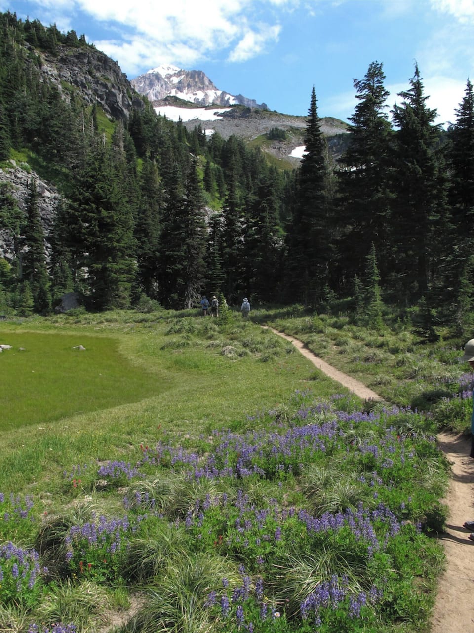 McNeil Point hike is one of the best!
