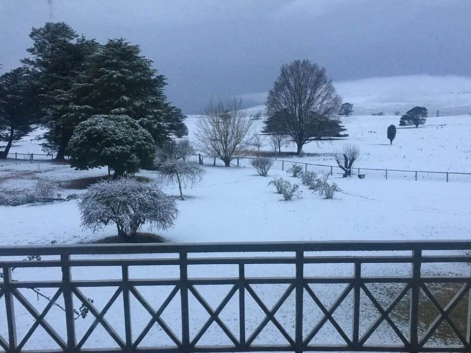 Snow View