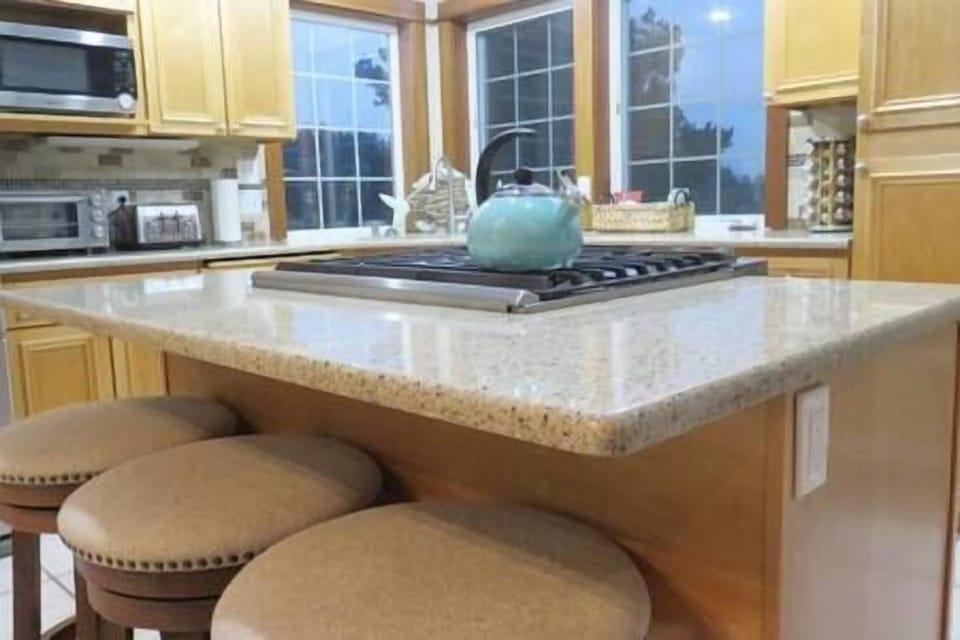 Kitchen island with top of the line oven