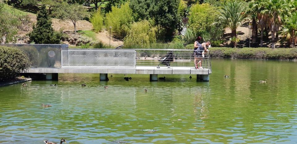 Lake