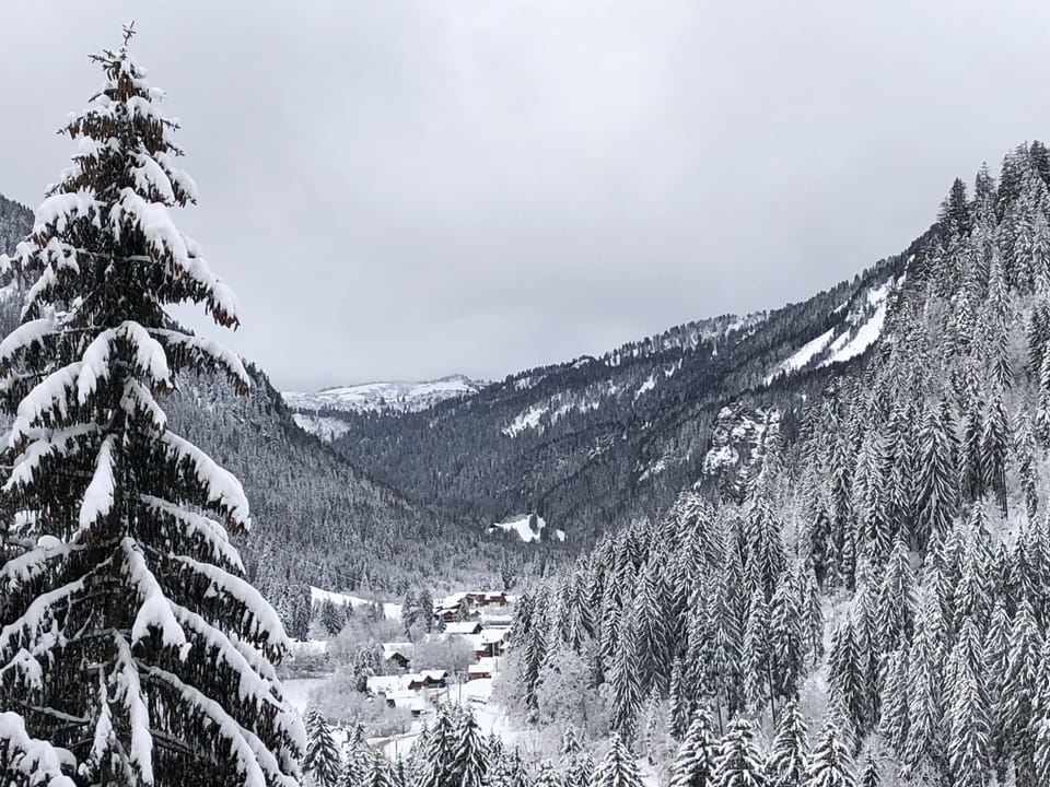 Snow and ski sports