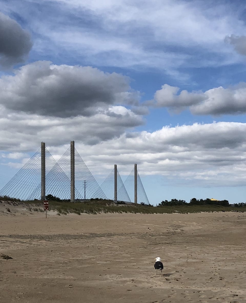 Indian River bridge