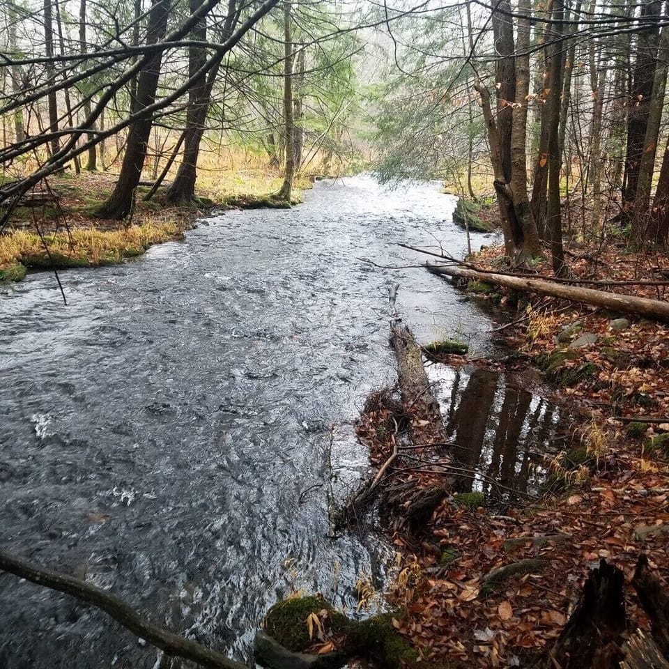 Brook across the street