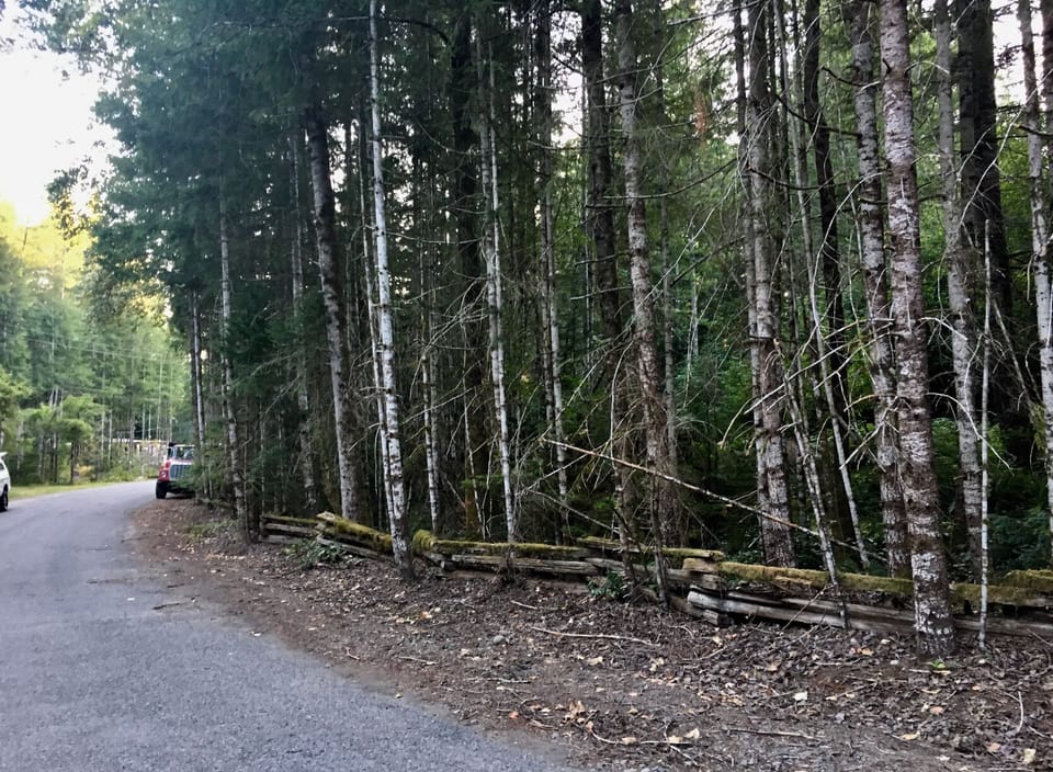 The street view entrance. Large double lot. Deer are often visitors. 