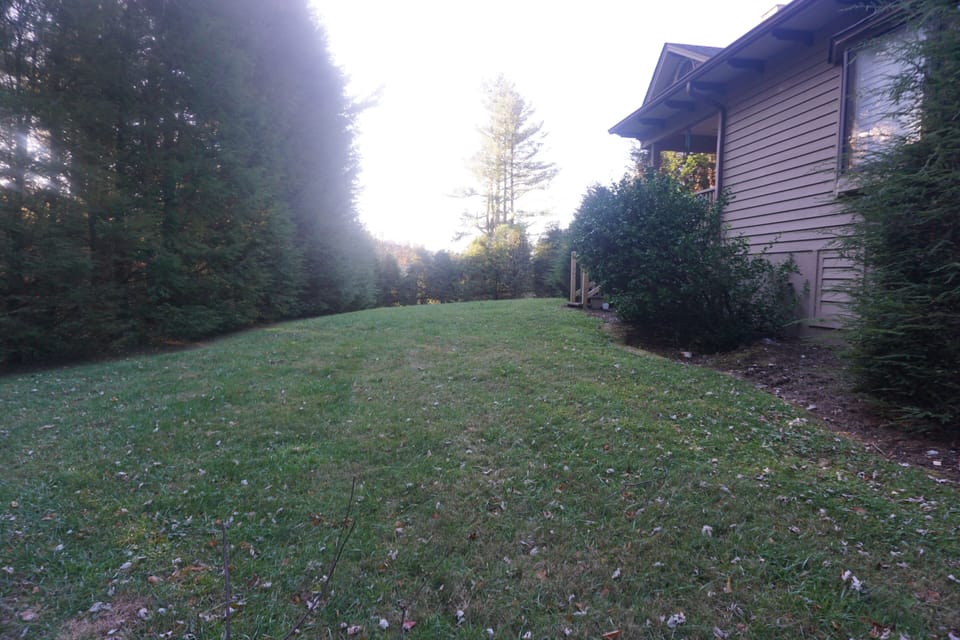 Rear Yard