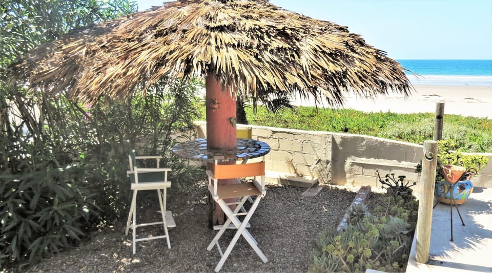 Beachside Palapa!
