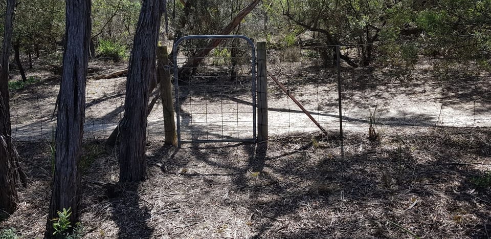 Back gate