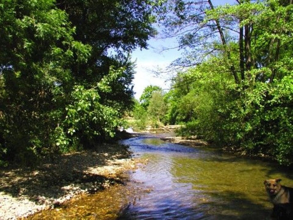Saint Ferreol's River Boyne