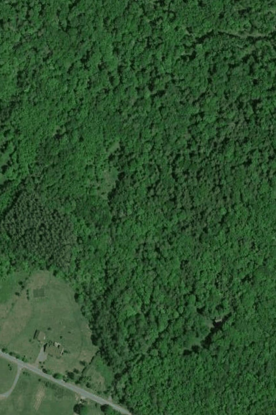 shows that cabin backs up to wilderness