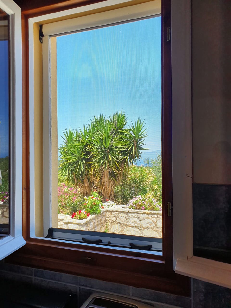 View from the kitchen window