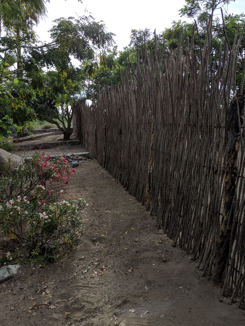 Grounds