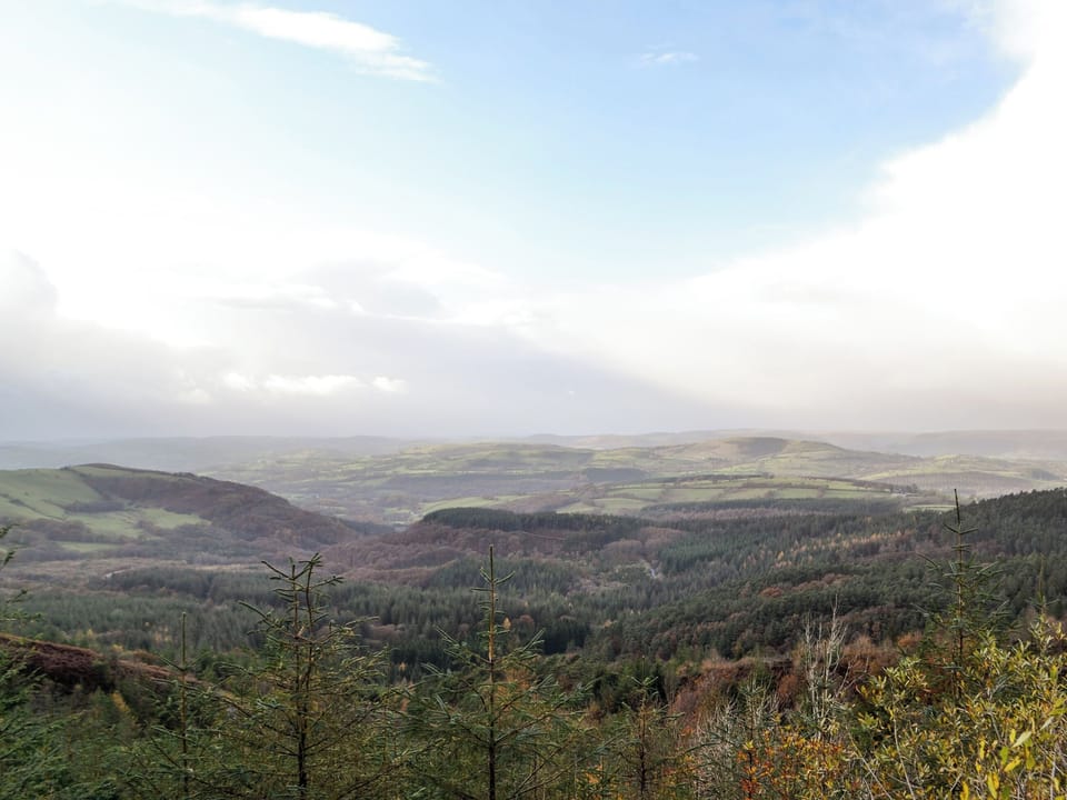 Picturesque surrounding area | The Cow Shed - Cwm Clyd, Llandovery