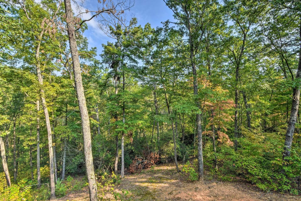 Surroundings | Wooded Views