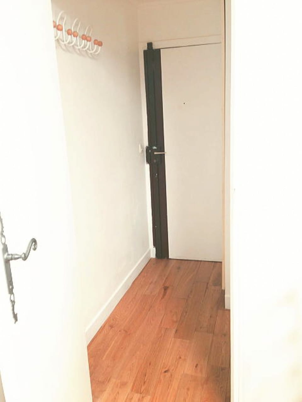 Entrance of the apartment