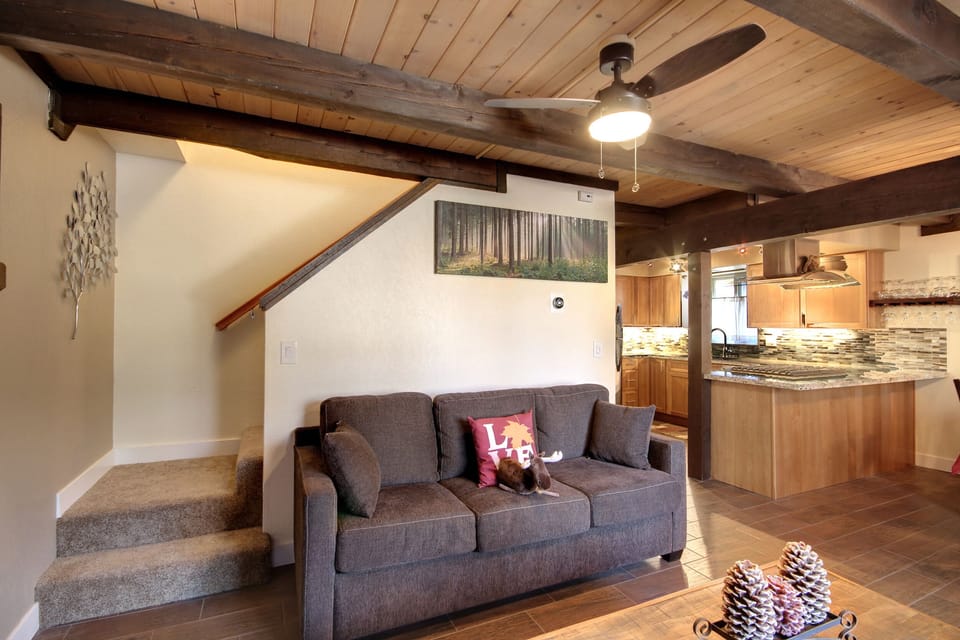 Living Room with TV, Gas Fireplace & Sofa Bed!