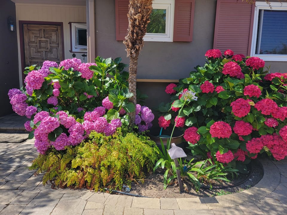 Front entry courtyard.