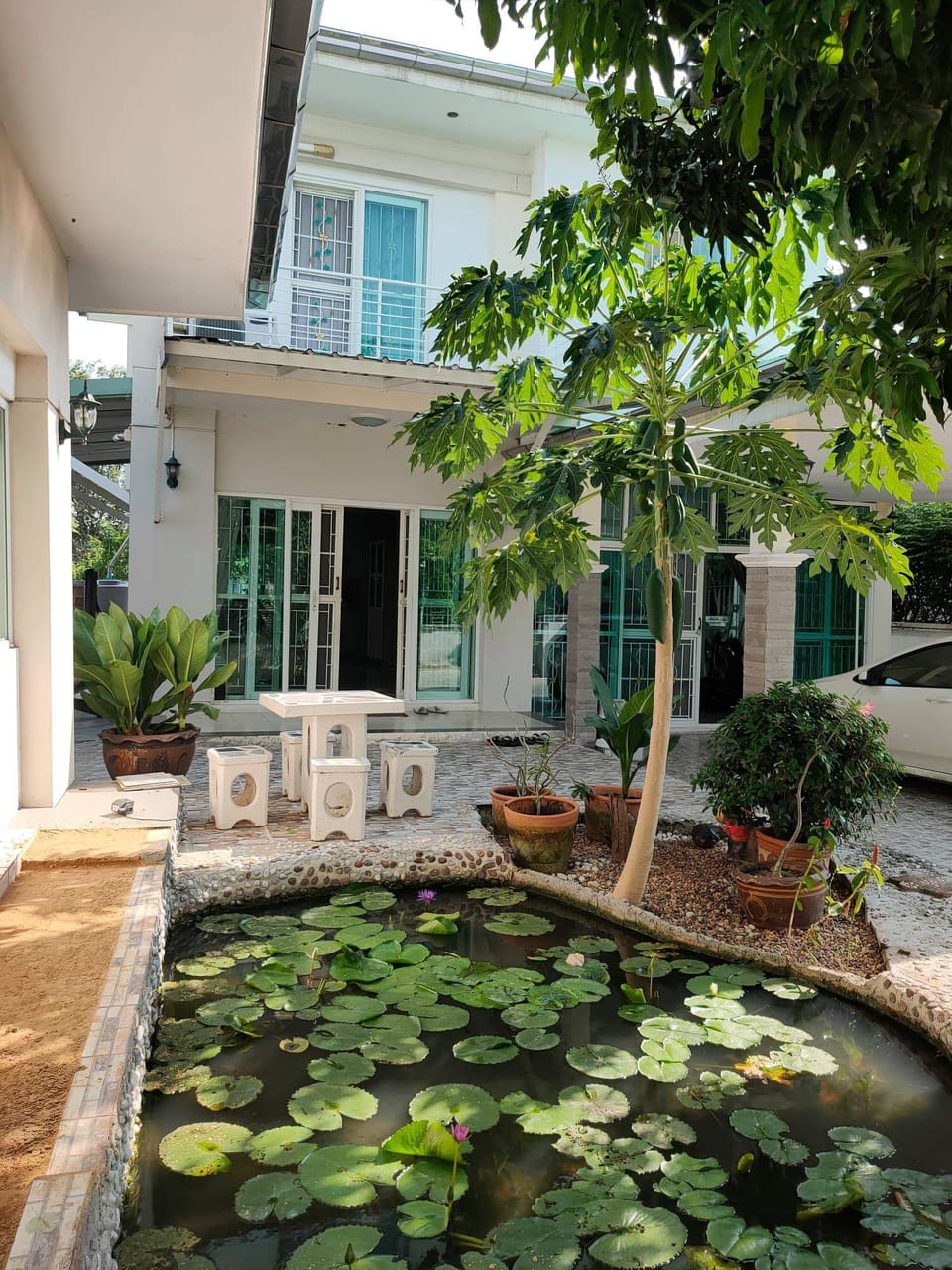 Terrace/patio