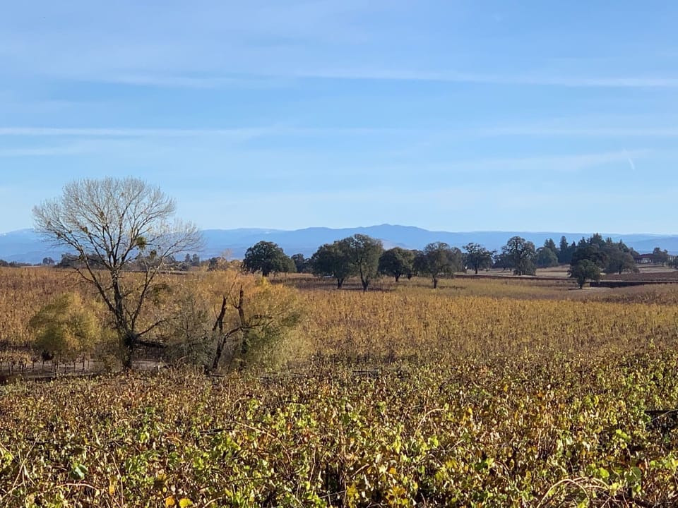 Sierras facing east