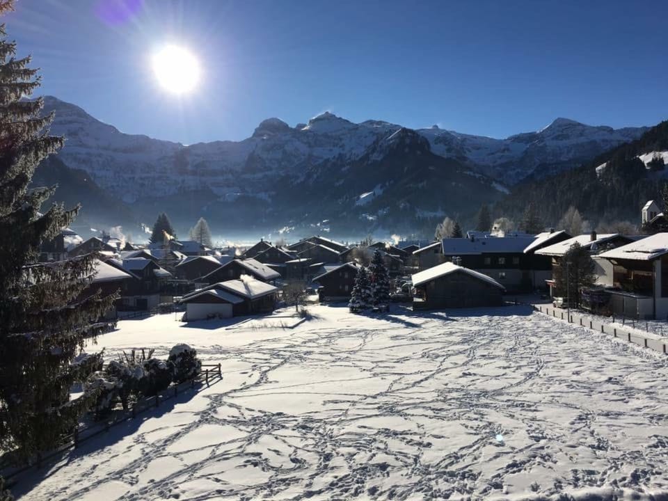 View