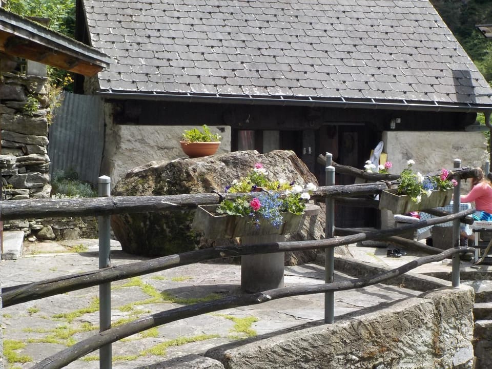 Picture 1