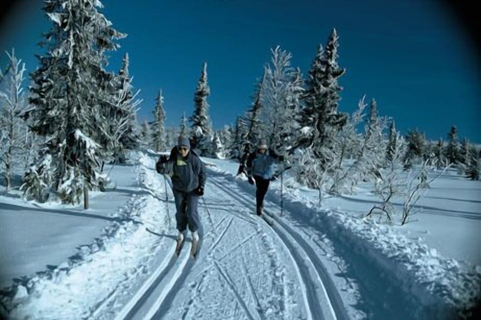 Snow and ski sports