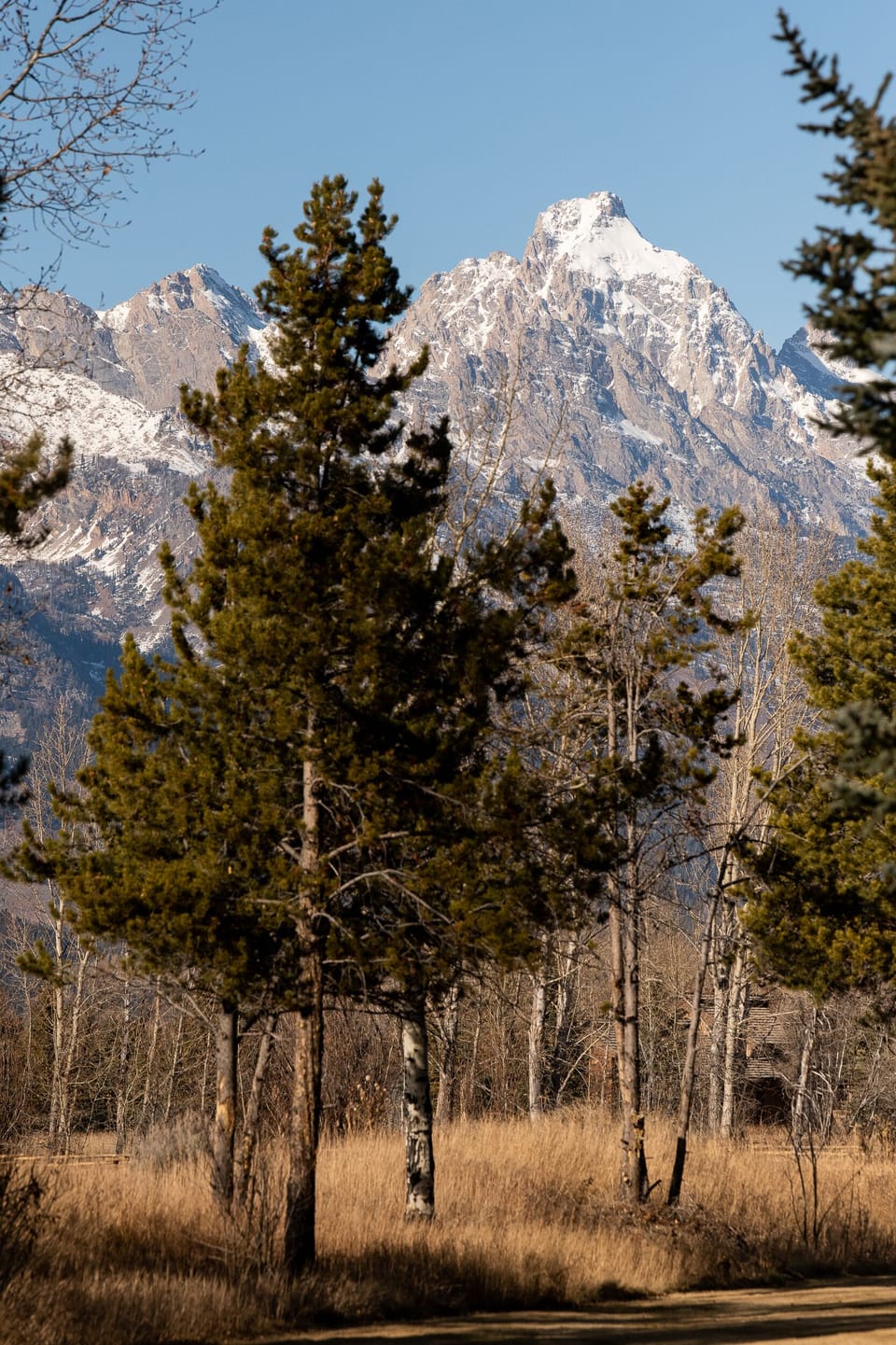 Teton views from Teton Shadows neighborhood