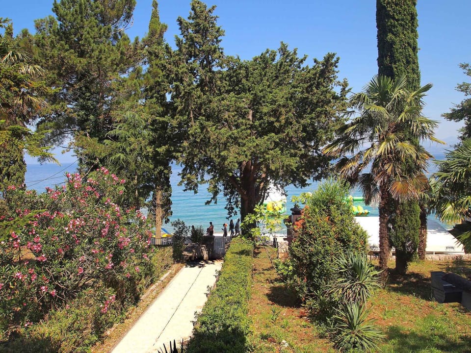 garden
