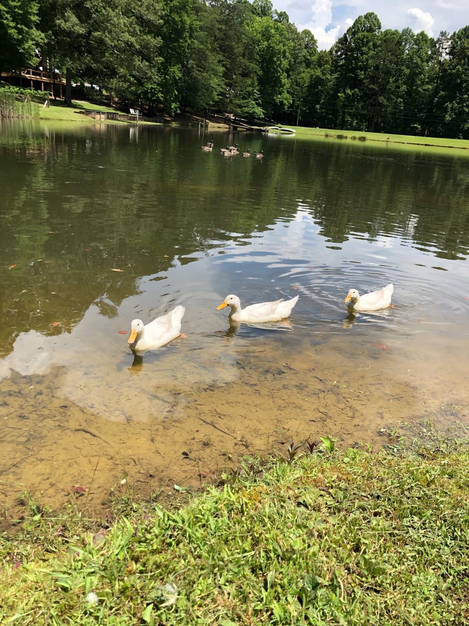Lake