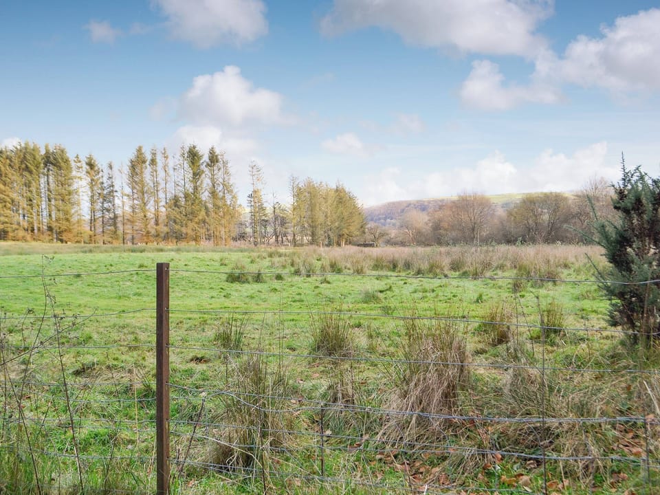 Surrounding area | The Mill, Tregaron