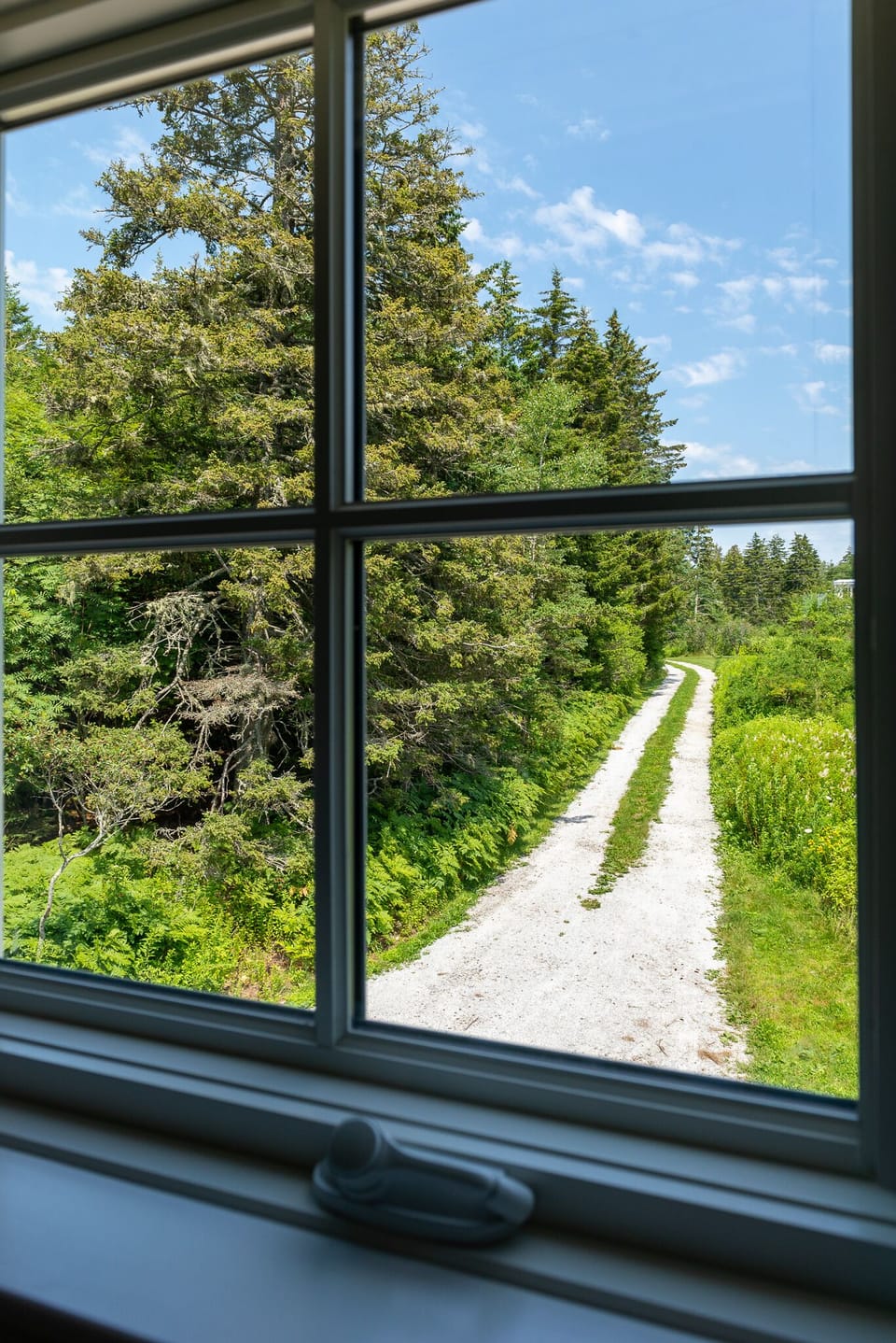 Driveway view, from inside cottage