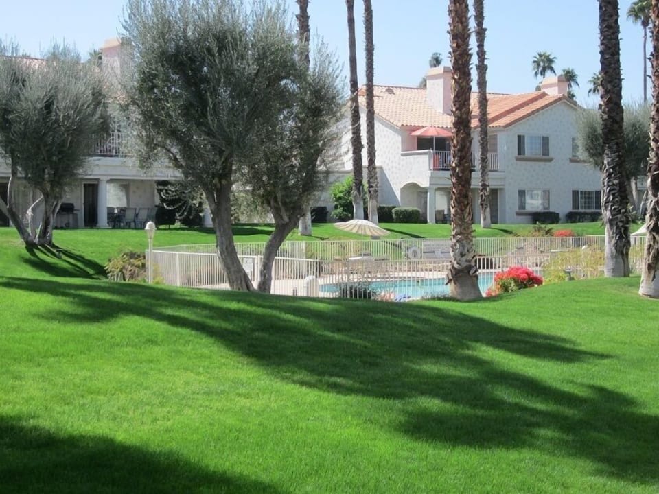 View from back patio, just off the living room