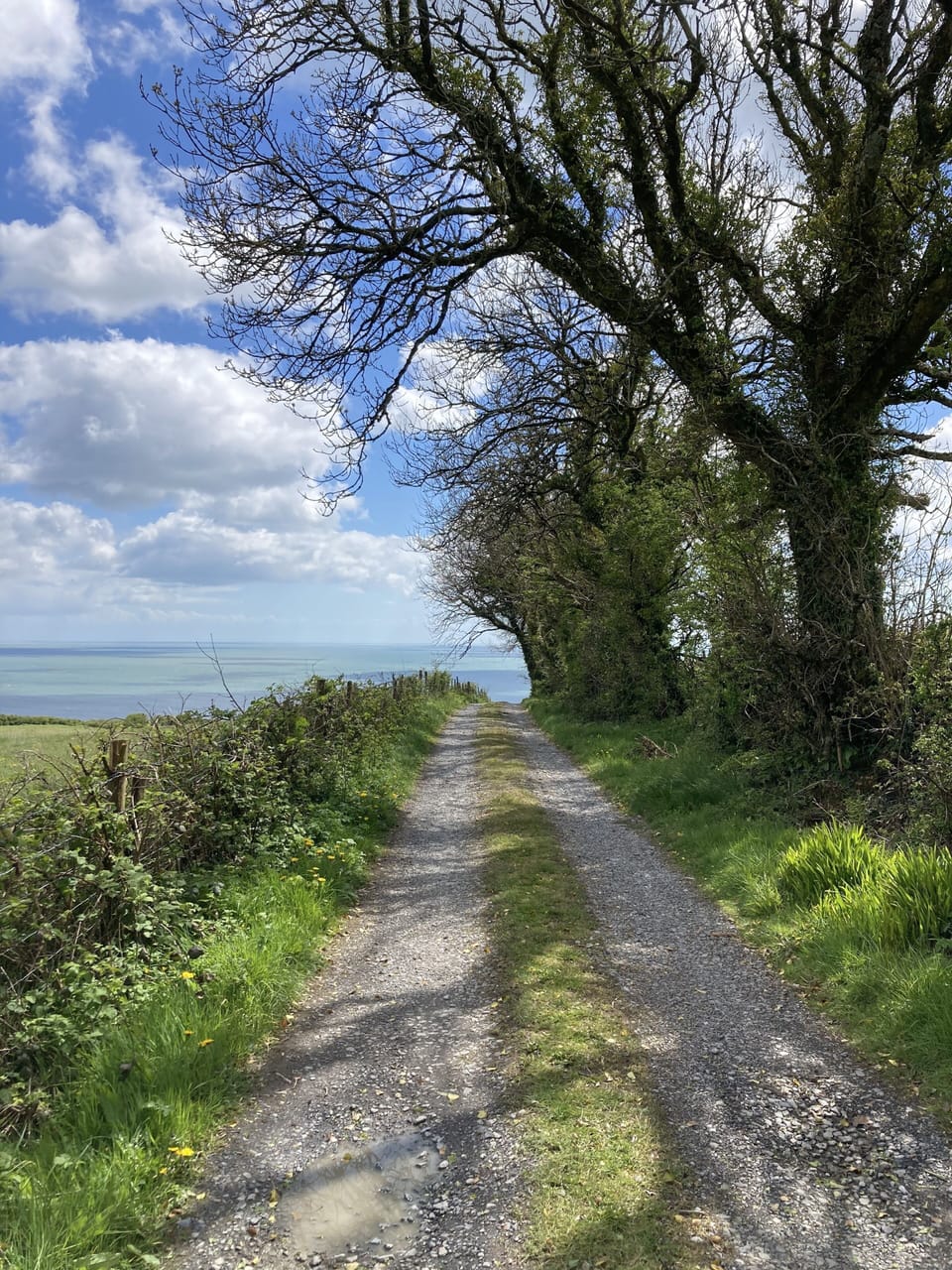 The path to the beach