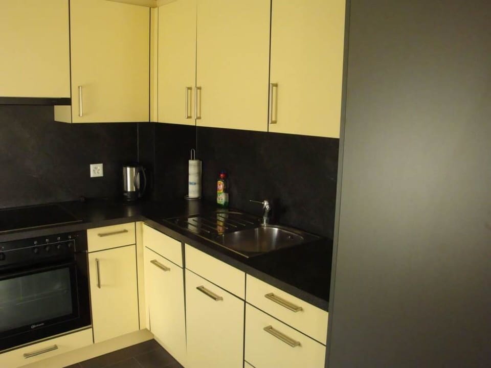 Cabinetry, Property, Countertop, Building, Kitchen Sink, Kitchen Appliance, Sink, Kitchen Stove, Kitchen, Wood