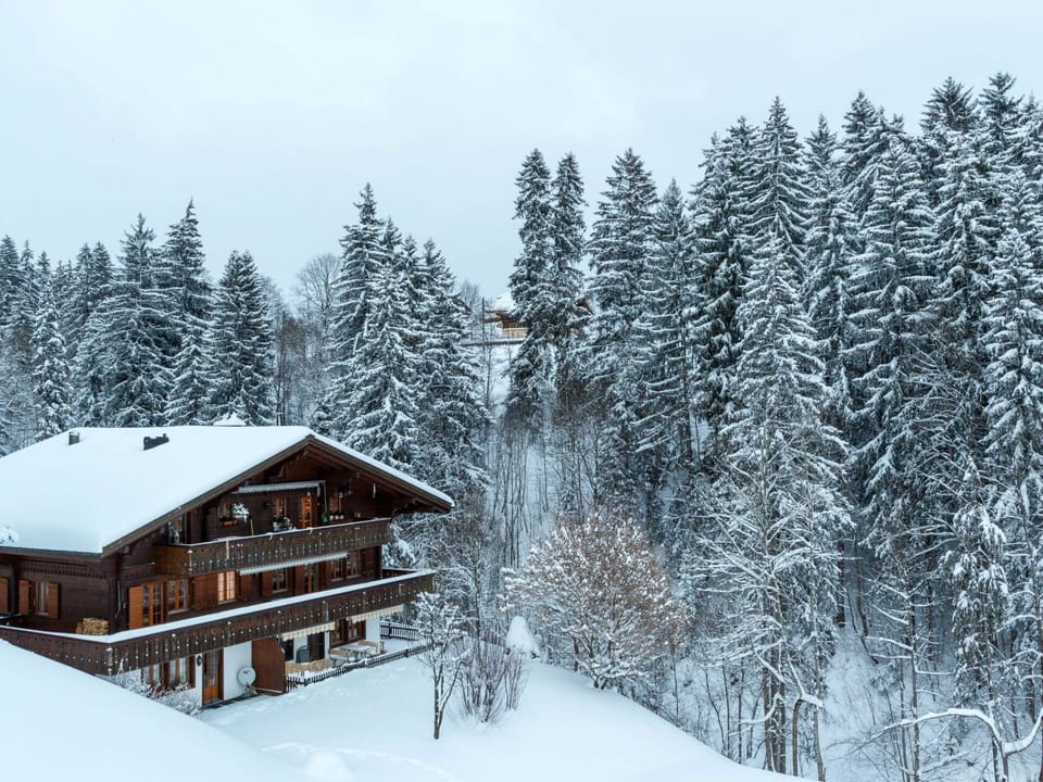 Snow, Tree, Branch, Wood, Winter, Home, House, Cottage, Roof, Freezing