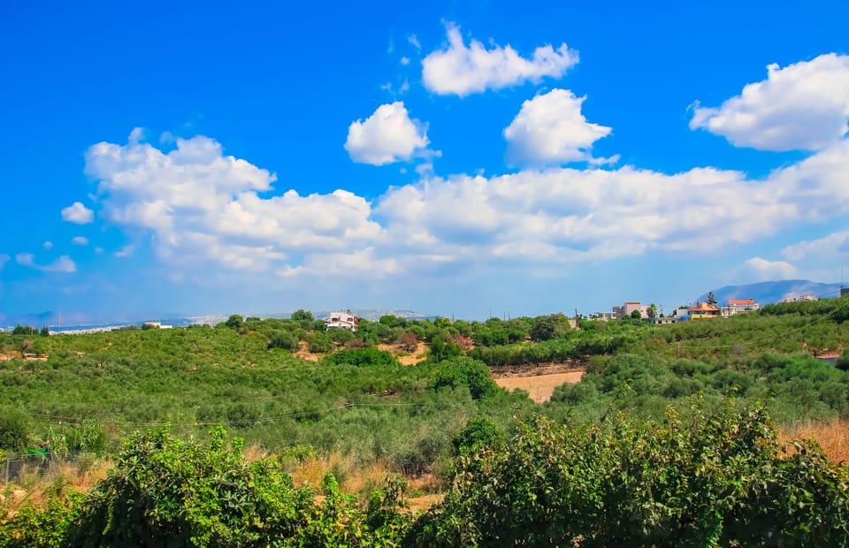 The view to the mountains from the villa.