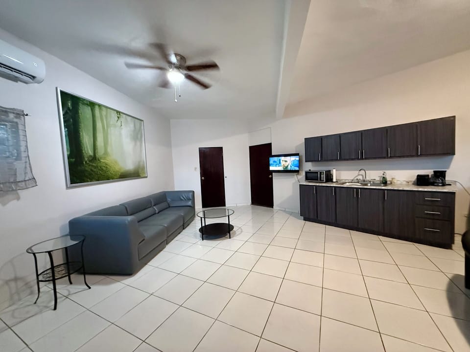 This is part of the living room including seating area, and the full kitchen.