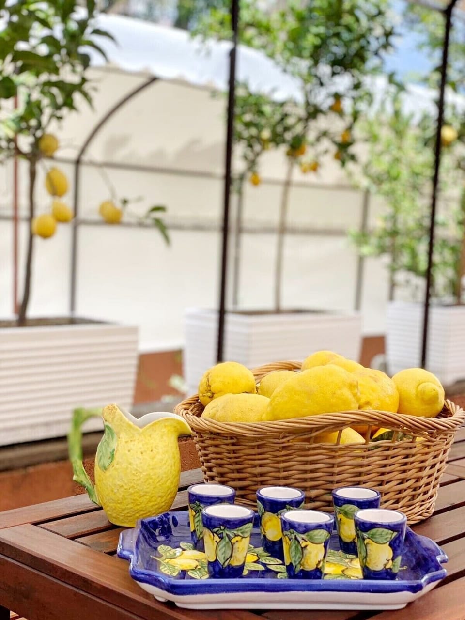 Enjoy an Al Fresco Dinning Experience nested among lemon groves