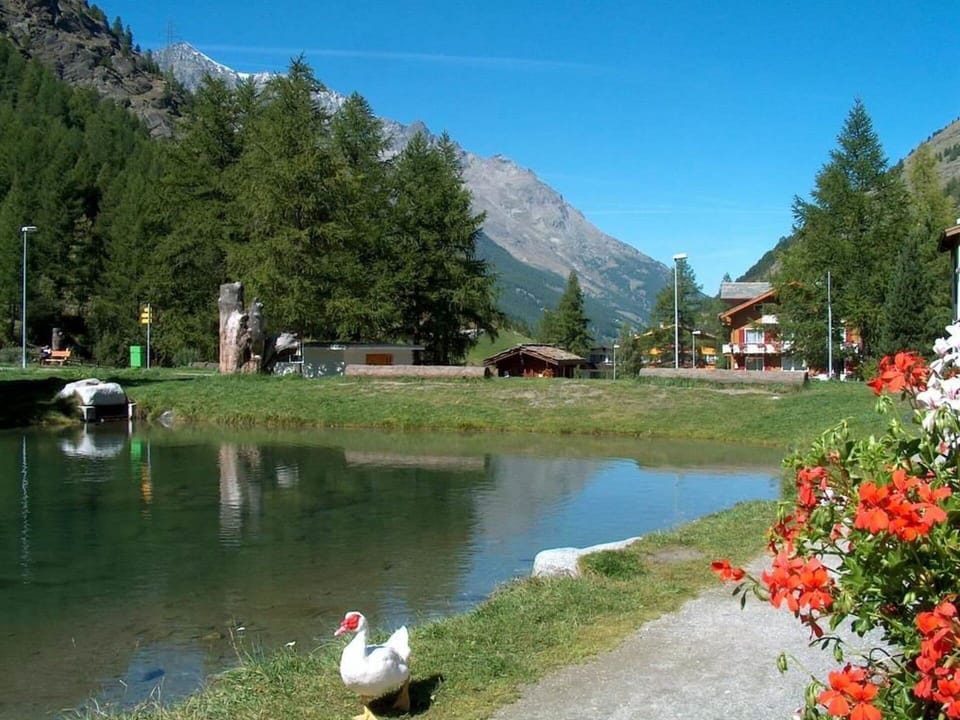 Water, Plant, Sky, Mountain, Water Resources, Flower, Nature, Natural Landscape, Tree