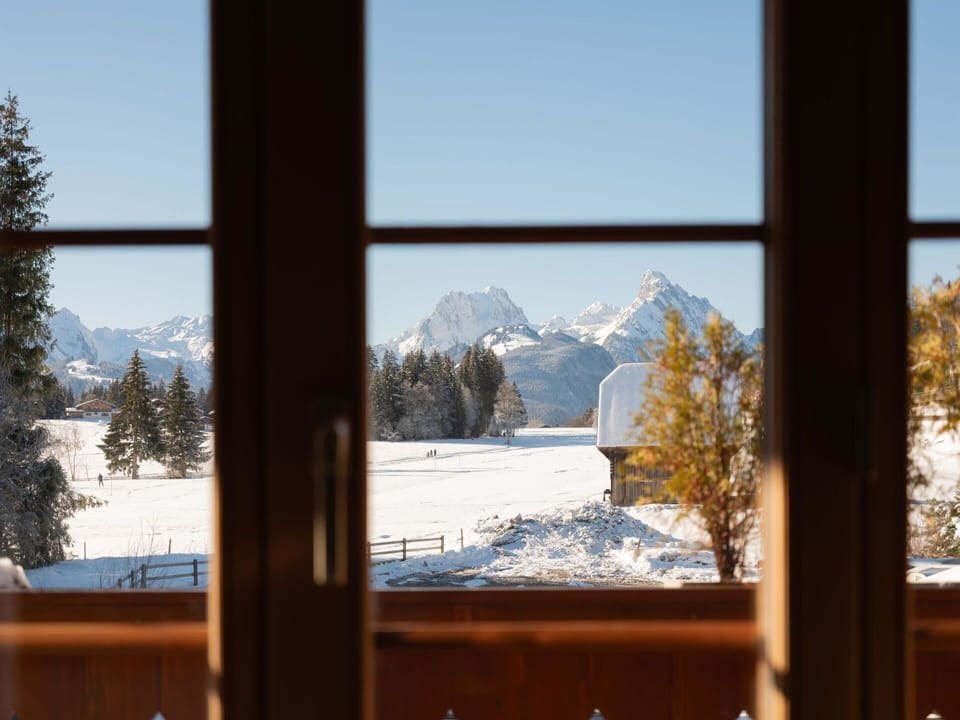 Sky, Window, Mountain, Snow, Leaf, Plant, Tree, Wood, Sunlight